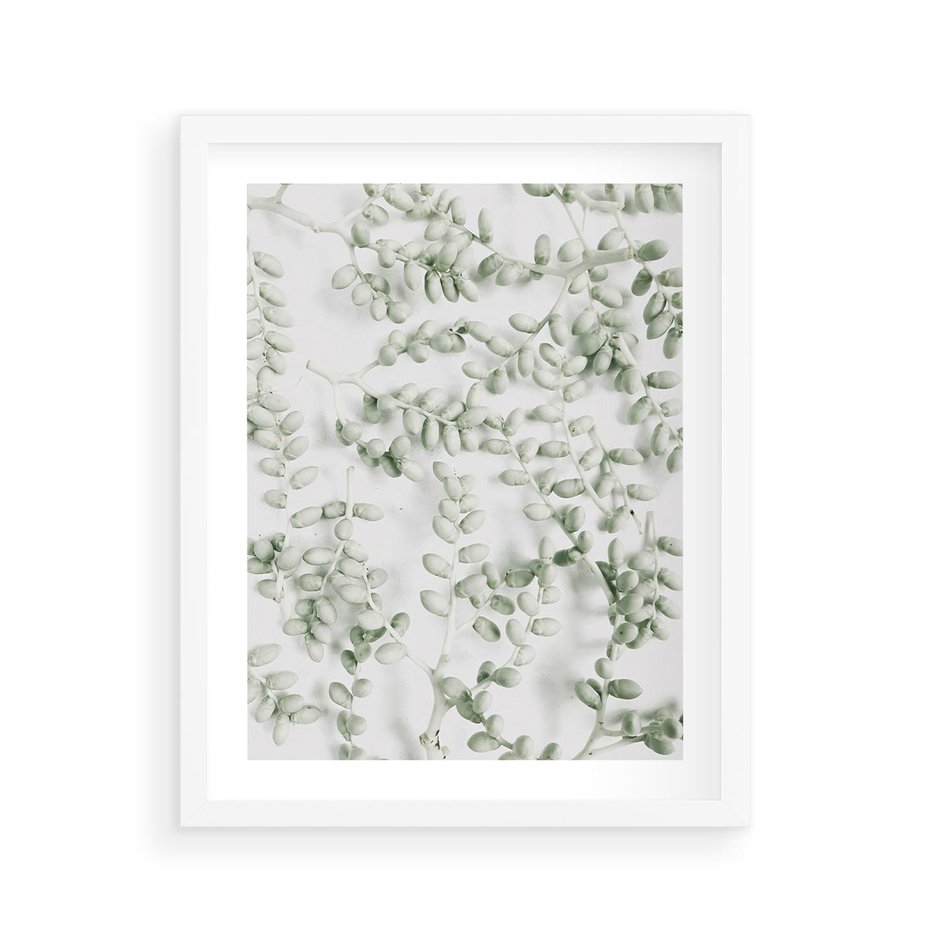 Plakat w ramie 40x50 - Delikatność Zieleni - zielone gałązki, listki - rama biała