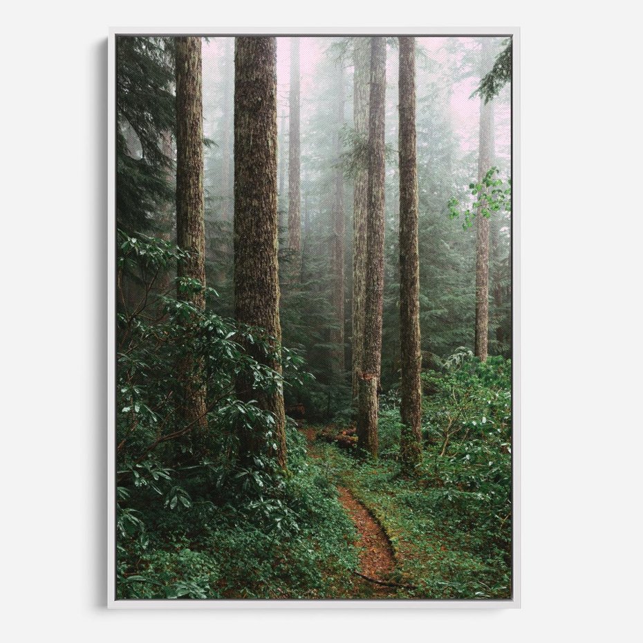 Obraz w ramie 70x100 - Mgliste Marzenia - artystyczna fotografia, las - rama biała