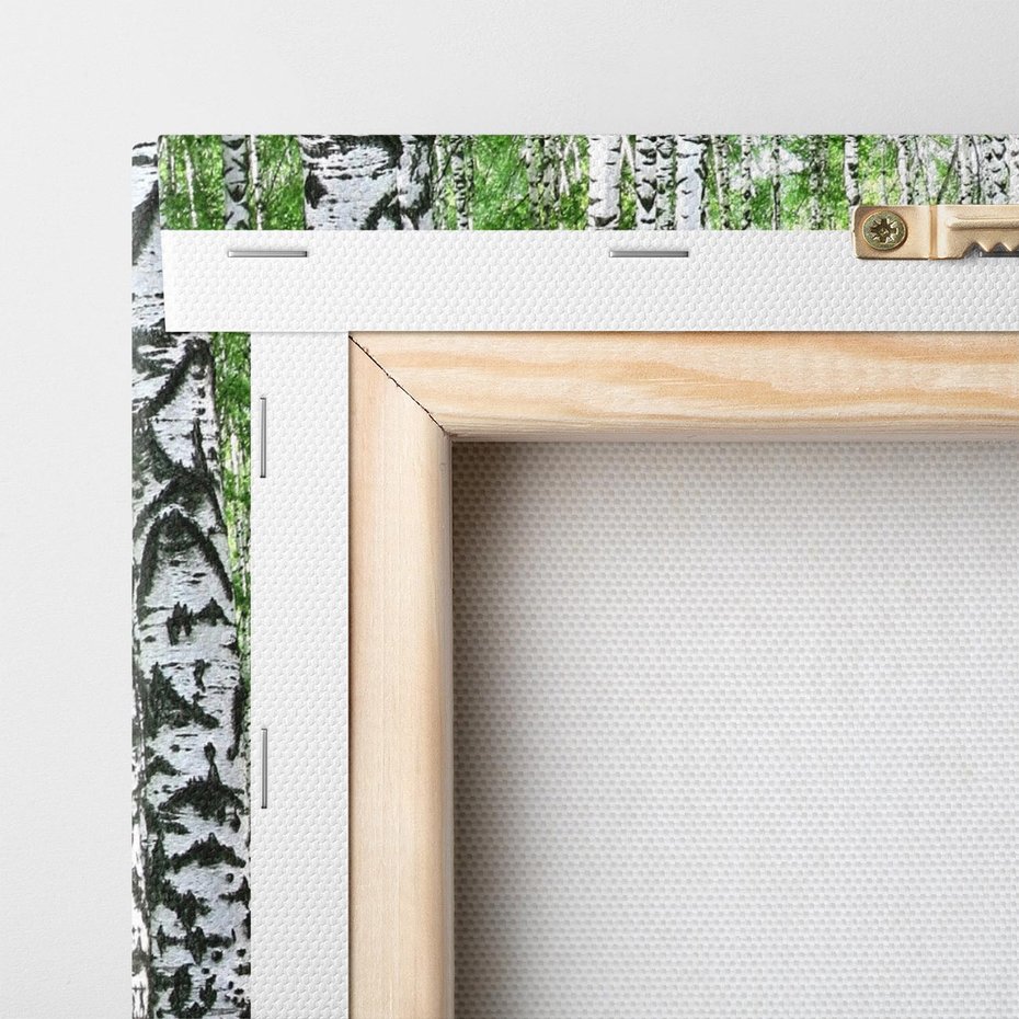 Obraz na płótnie 70x100 - Bajkowy las pełen brzóz - las, brzozy