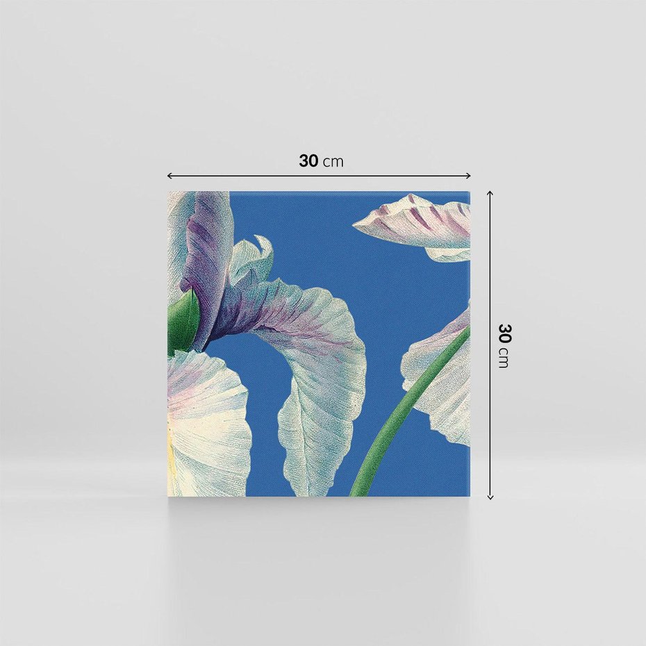 Obraz na płótnie 30x30 - Rapsodia malarskich gestów - wielkie kwiaty, zbliżenie