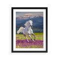 Plakat w ramie 40x50 - Koń Góry: Spotkanie z Wielką Przyrodą - koń, góry - rama czarna