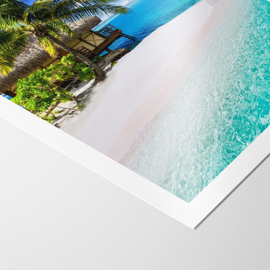 Plakat bez ramy 50x70 - Zaklęte palmy tropików - palmy, ocean