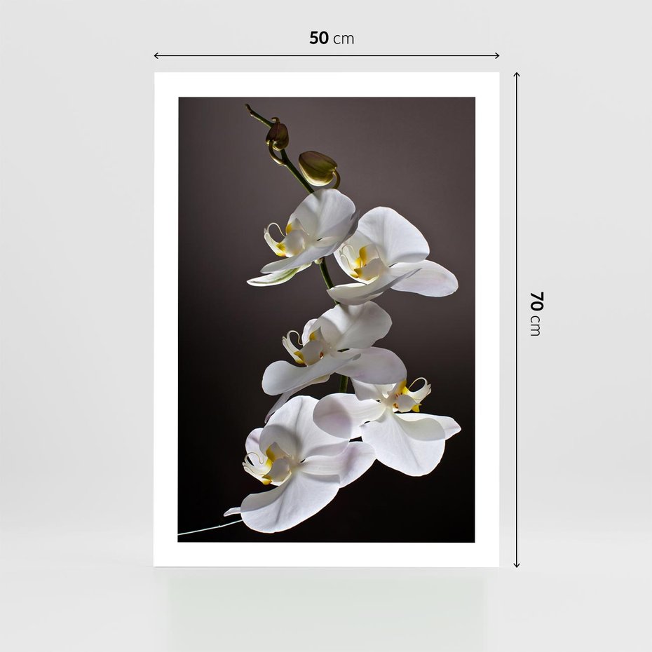 Plakat bez ramy 50x70 - SPA: harmonia z kwiatami - spa, kwiaty