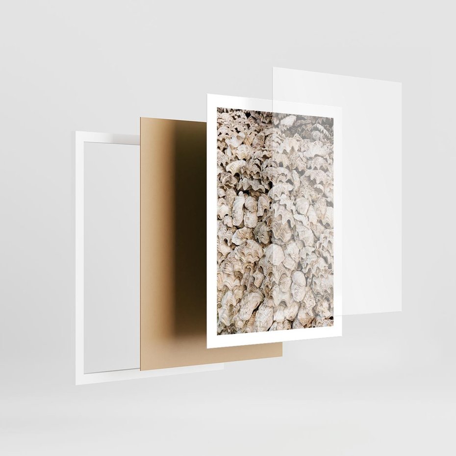 Plakat w ramie 50x70 - Symfonia Natury - kompozycja z białych muszli - rama biała
