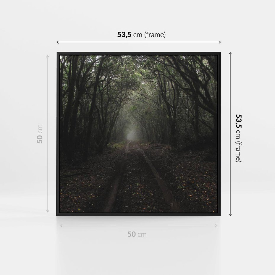 Obraz w ramie 50x50 - Urok Drogi - las, droga - rama czarna