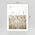 Plakat bez ramy 40x50 - Nostalgiczny Pejzaż - suche trawy, pole