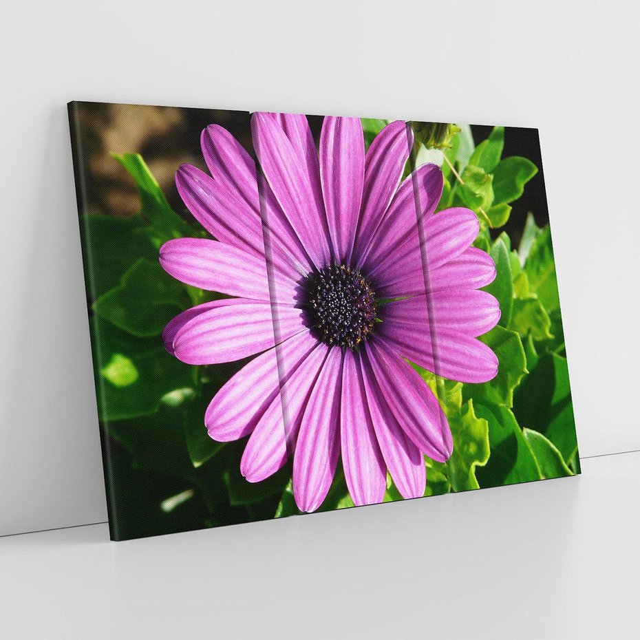 Obraz na płótnie 120x80 - Kwiatowy Dotyk - kwiat, kwiaty