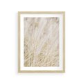 Plakat w ramie 30x40 - Białe Trawy Pampas - suche trawy, białe trawy - rama drewno