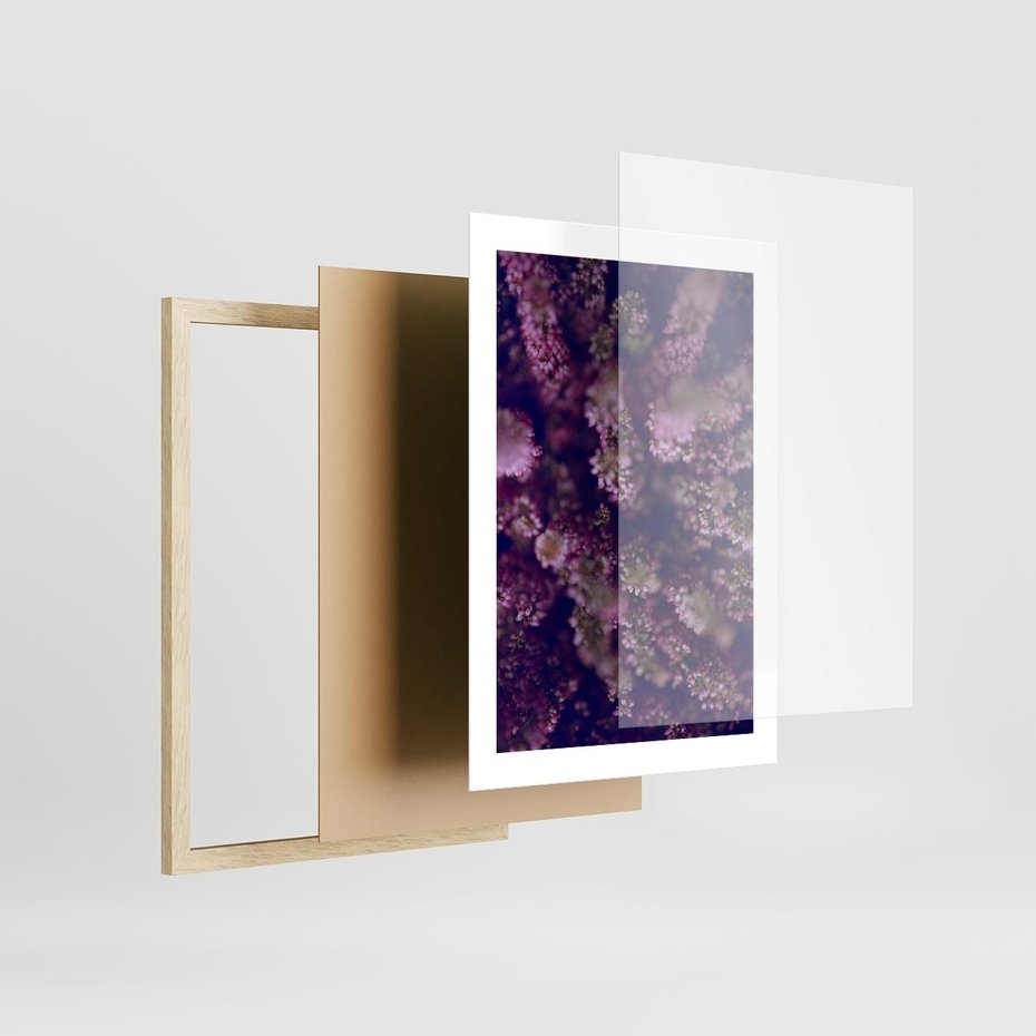 Plakat w ramie 30x40 - Wrzosowa Delikatność - wrzosy, kwiaty - rama drewno