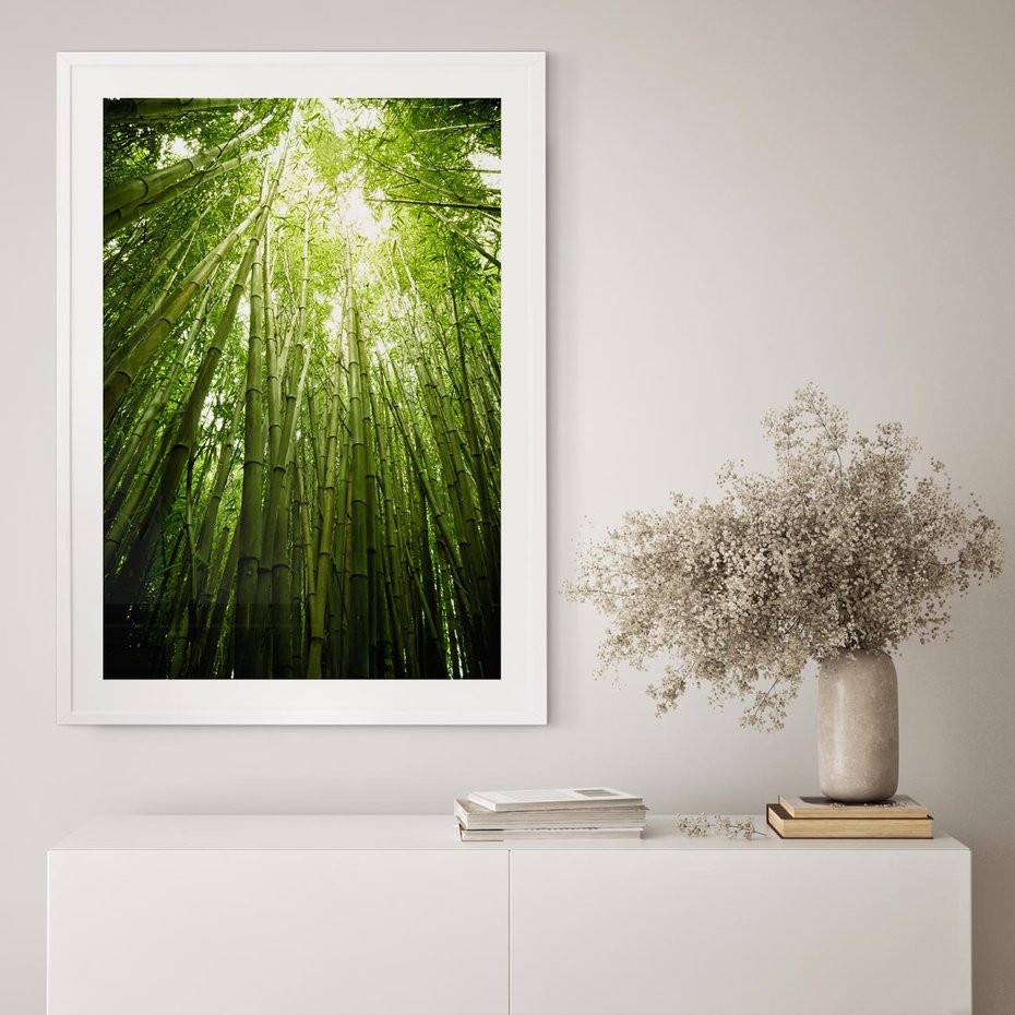 Plakat bez ramy 50x70 - Siła Natury - drzewa, las