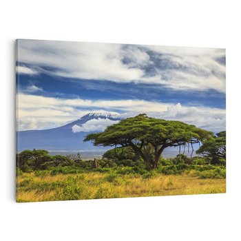 Obraz na płótnie 100x70 - Afrykańska magia - Afryka, Kenia