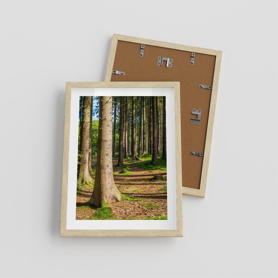 Plakat w ramie 30x40 - Las: harmonia natury - las, drzewa - rama drewno