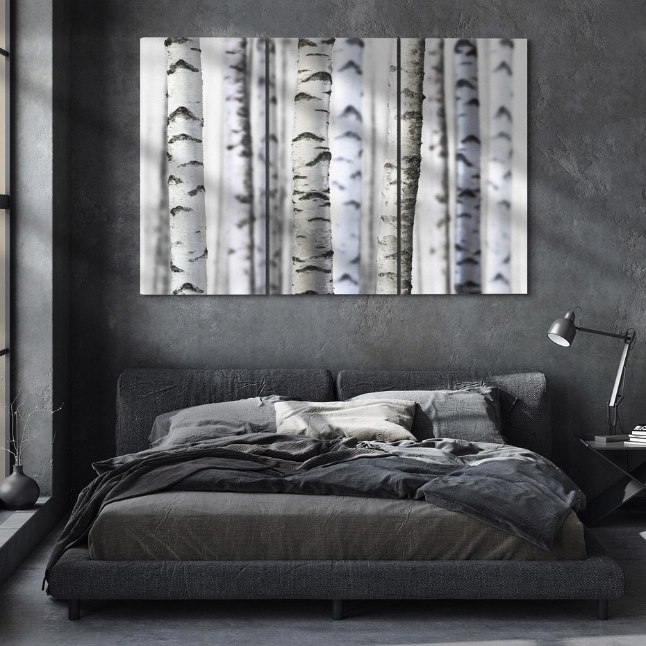 Obraz na płótnie 120x80 - Delikatność brzóz - brzozy, las