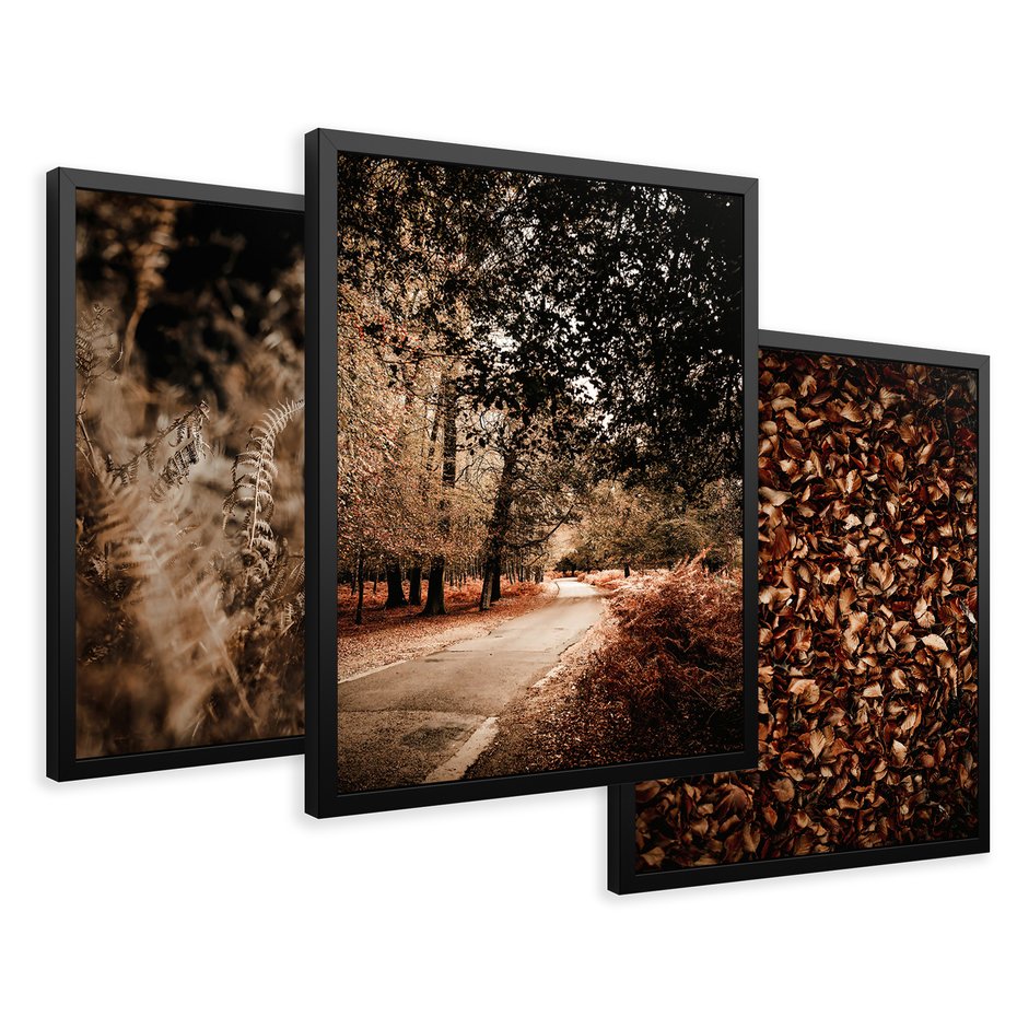 Zestaw obrazy w ramie 50x70 galeria - Jesienne, liście, nostalgia - rama czarna