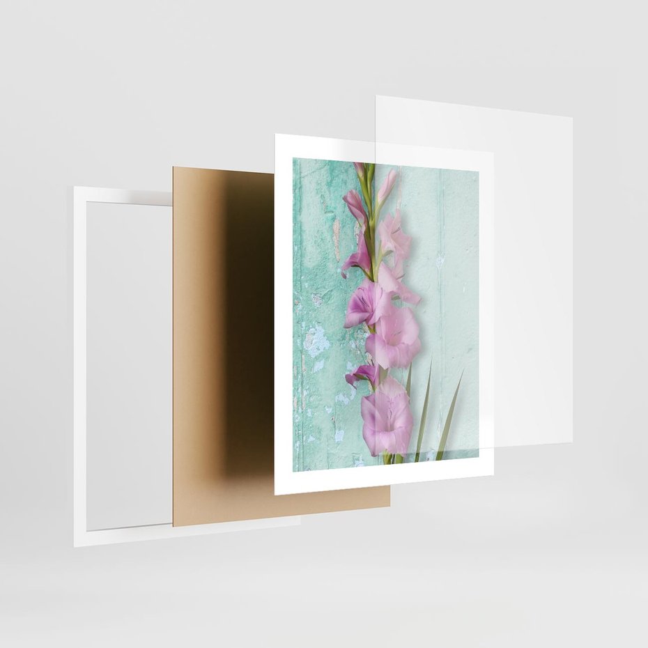 Plakat w ramie 40x50 - Piękno w delikatności - kwiaty, różowe - rama biała