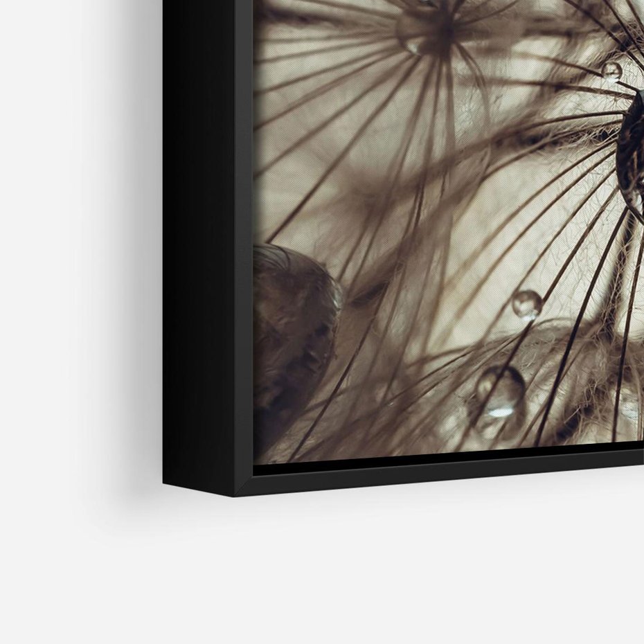 Obraz w ramie 70x50 - Lekkie dmuchawce - dmuchawce, krople - rama czarna