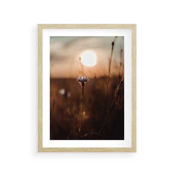 Plakat w ramie 30x40 - Spokój łąki pod zachodem słońca - zachód, słońca - rama drewno