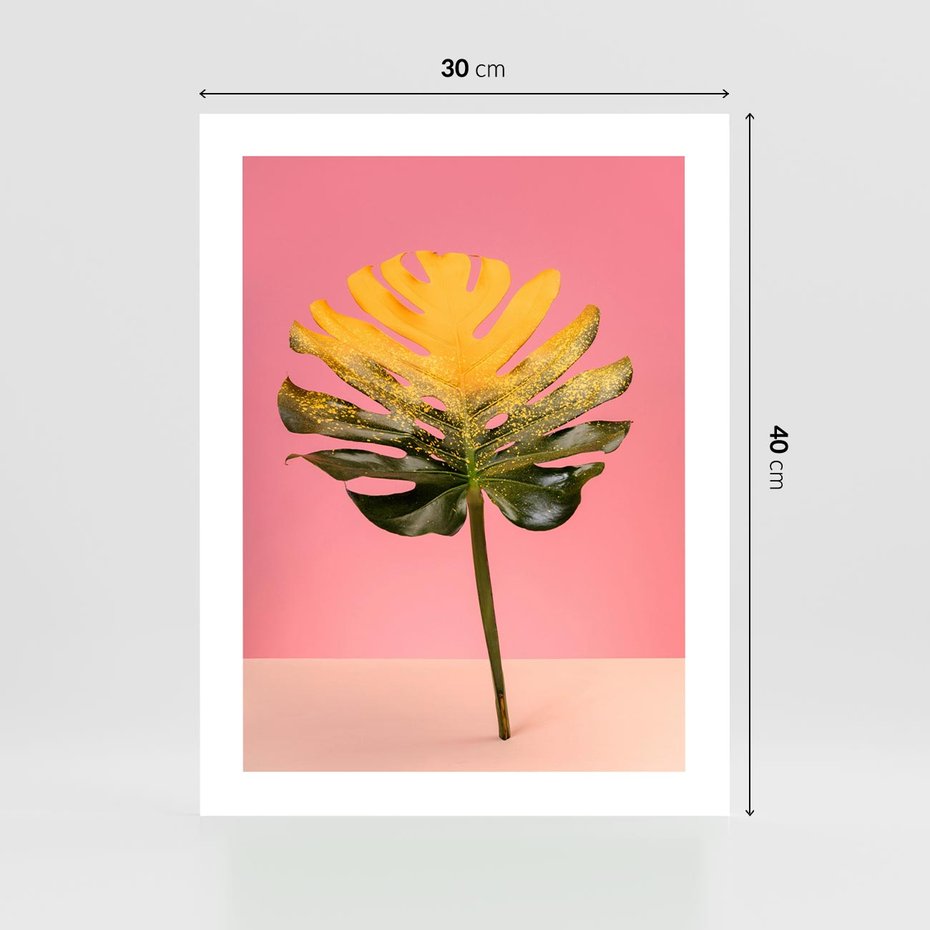 Plakat bez ramy 30x40 - Majestatyczna monstera - monstera, liść