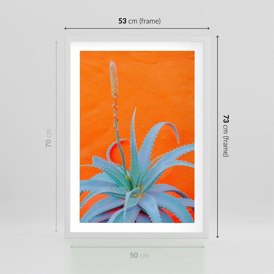 Plakat w ramie 50x70 - Naturalna Harmonia - kaktusy, liście - rama biała