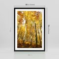 Plakat w ramie 50x70 - Jesienny Las - Kolorowa Paleta Natury - jesień, drzewa - rama czarna