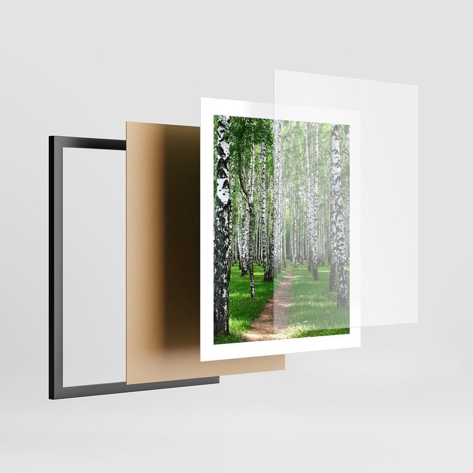 Plakat w ramie 40x50 - Bajkowy las pełen brzóz - las, brzozy - rama czarna