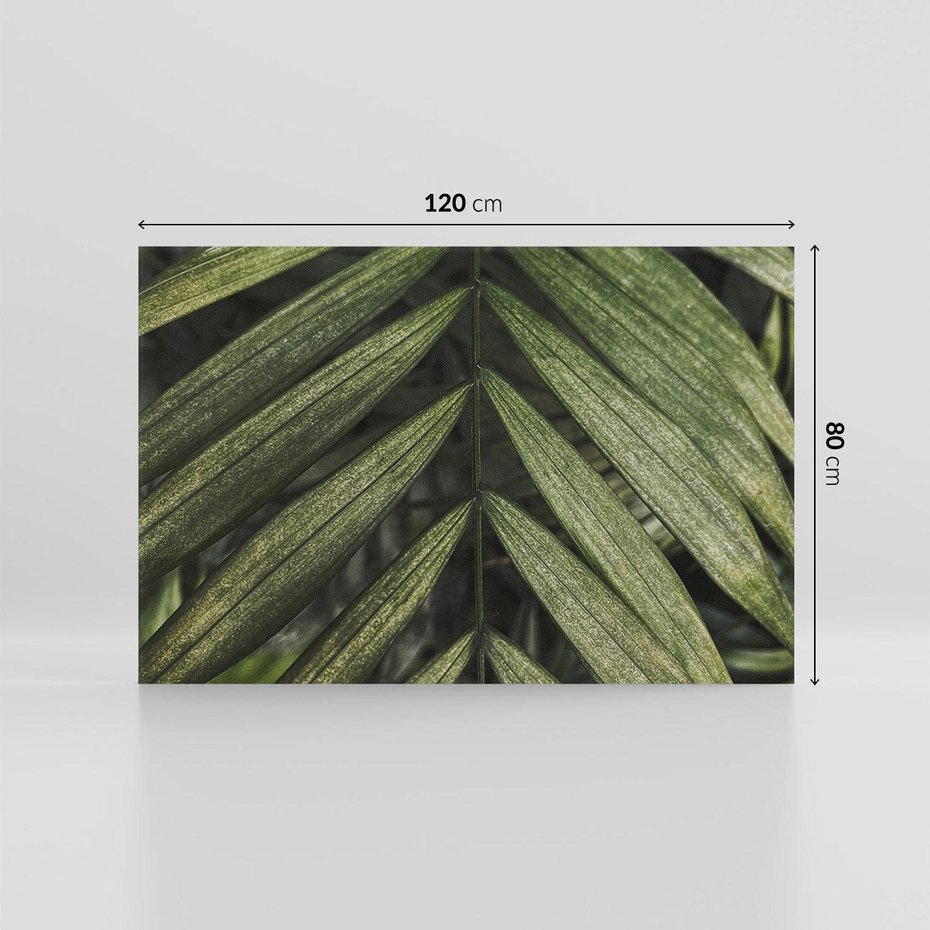 Obraz na płótnie 120x80 - W Liściach Ukryte - zdjęcie, fotografia