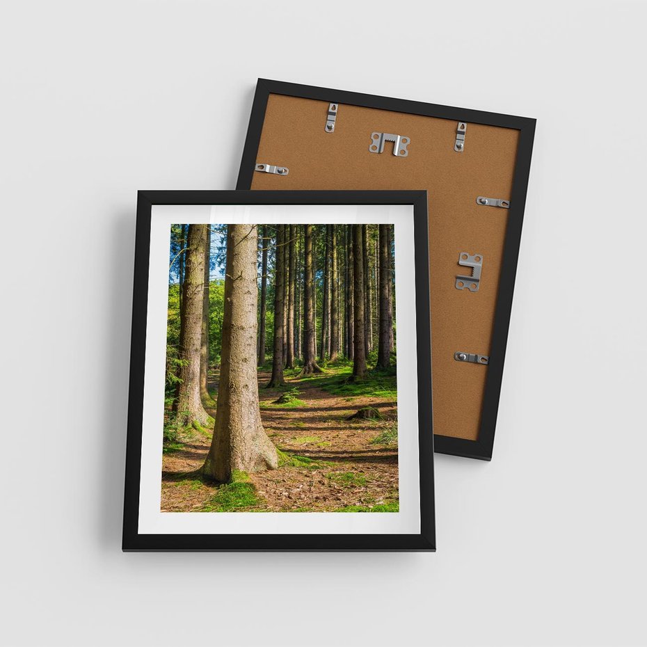 Plakat w ramie 40x50 - Las: harmonia natury - las, drzewa - rama czarna