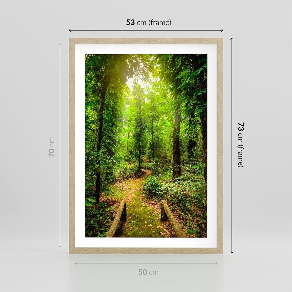 Plakat w ramie 50x70 - Współistnienie z naturą - drzewa, las - rama drewno