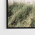 Obraz w ramie 50x50 - Harmonia Natury - widok z wydm, wydmy porośnięte trawami - rama czarna