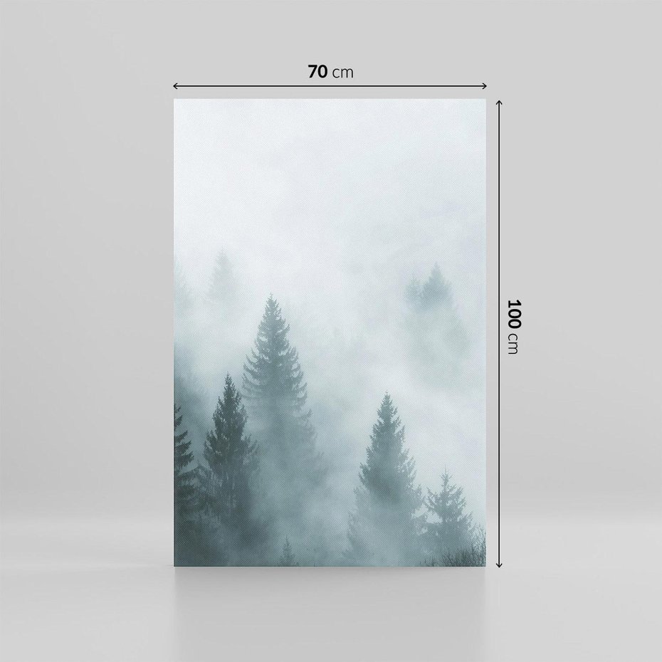 Obraz na płótnie 70x100 - Las w Mgłe - las, we