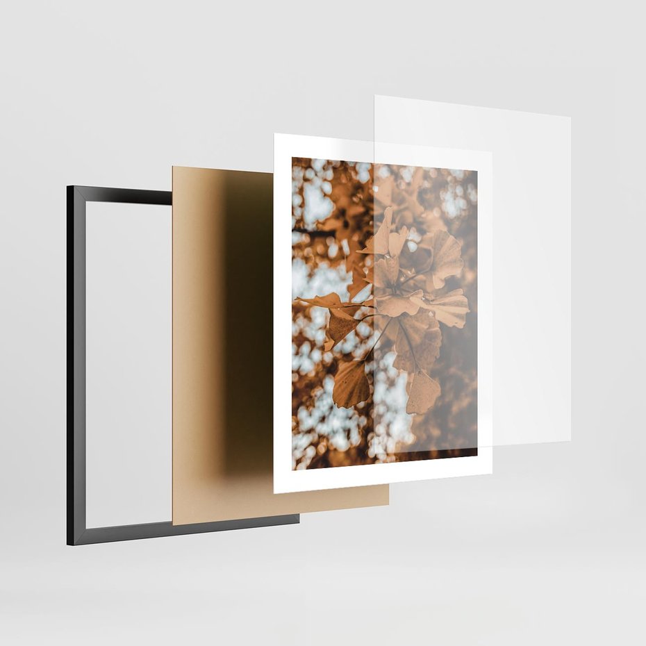 Plakat w ramie 40x50 - Nostalgiczny Miłorząb - miłorząb, liście - rama czarna