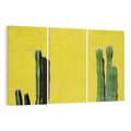 Obraz na płótnie 120x80 - Refleksje w roślinnym odbiciu - zielone kaktusy na tle żółtej ściany, soczyste kolory
