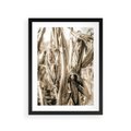 Plakat w ramie 30x40 - Retro Pole Kukurydzy - retro zdjęcie, sepia - rama czarna