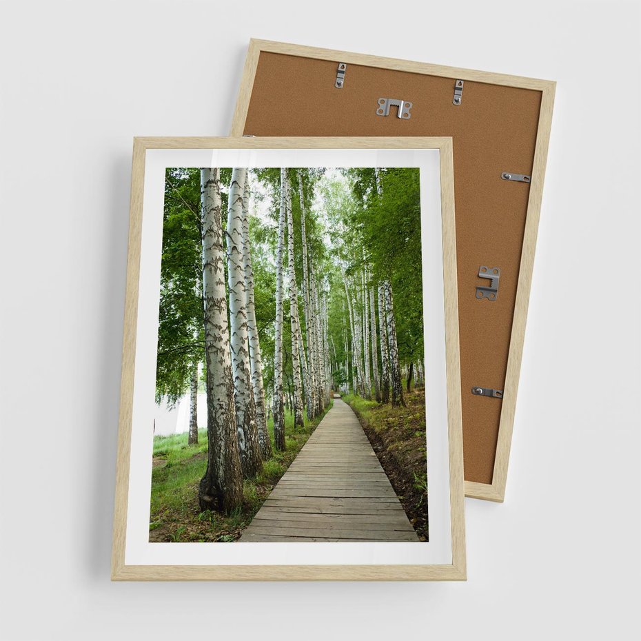 Plakat w ramie 50x70 - Spacer ścieżką przez brzozowy las - las, ścieżka - rama drewno