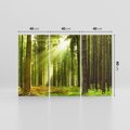 Obraz na płótnie 120x80 - Spokój wśród drzew: las w odcieniach zieleni - las, drzewa
