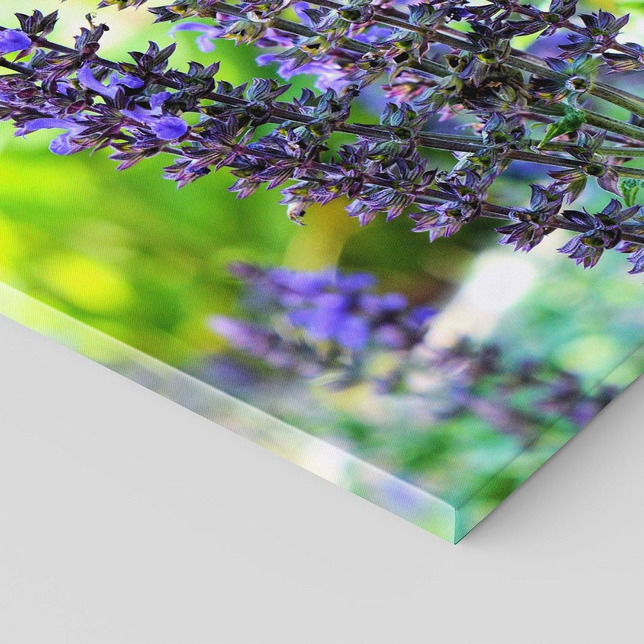 Obraz na płótnie 70x100 - Ogród Lawendowy - lawenda, kwiat