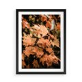 Plakat w ramie 50x70 - Ciepło Jesieni - jesienne pomarańczowe liśćie, jesień - rama czarna