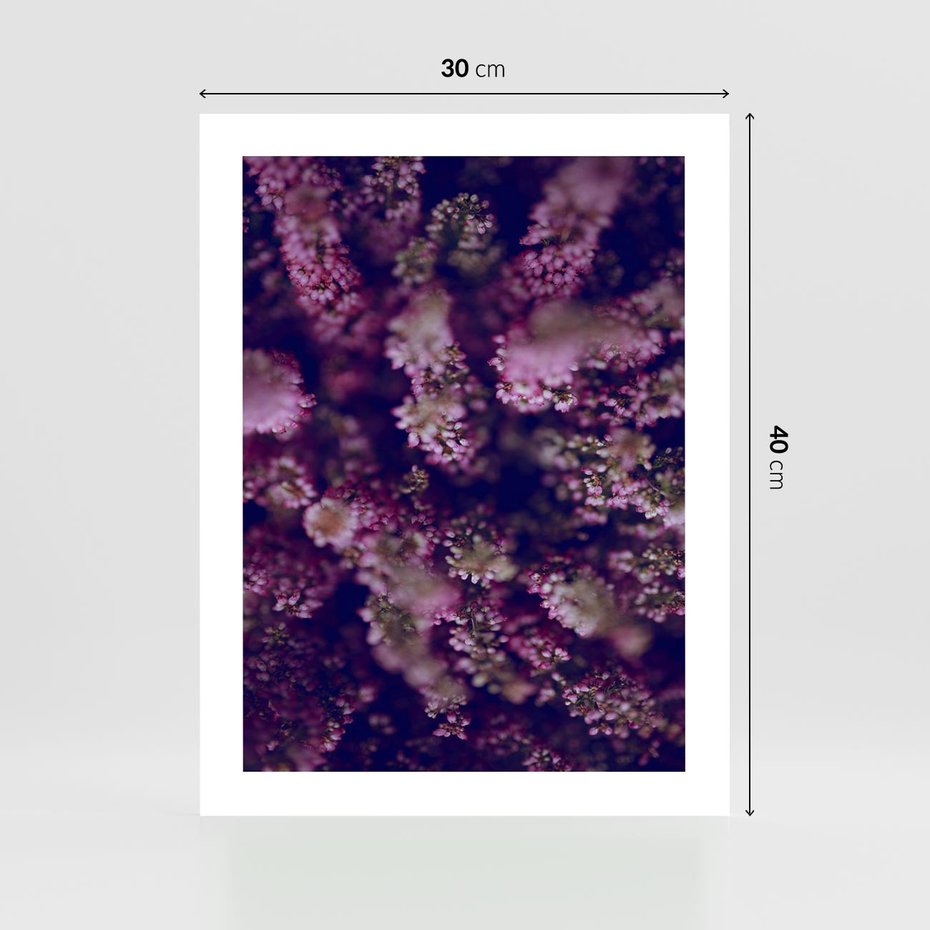 Plakat bez ramy 30x40 - Wrzosowa Delikatność - wrzosy, kwiaty