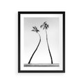 Plakat w ramie 30x40 - Samotne Palmy - czarno biała fotografia, dwie samotne palmy - rama czarna