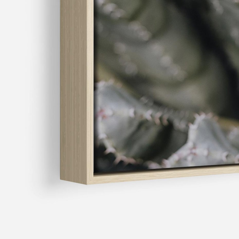 Obraz w ramie 100x70 - Boho kaktusy na pustyni - kaktusy, pustynia - rama drewno