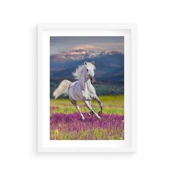 Plakat w ramie 40x50 - Koń Góry: Spotkanie z Wielką Przyrodą - koń, góry - rama biała