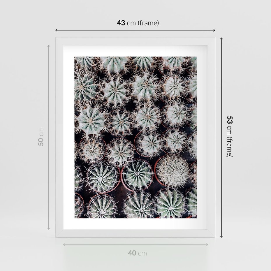 Plakat w ramie 40x50 - Wzór Kaktusów - kaktusy w doniczkach, ujęcie z góry - rama biała
