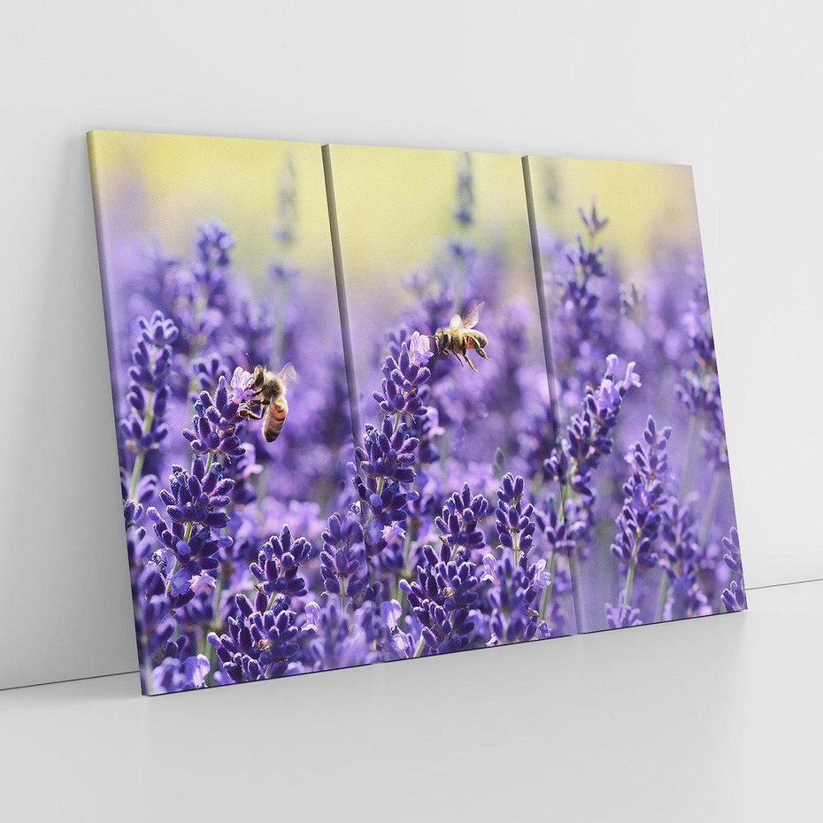 Obraz na płótnie 120x80 - Magia lawendy delikatne kwiaty - lawenda, kwiat