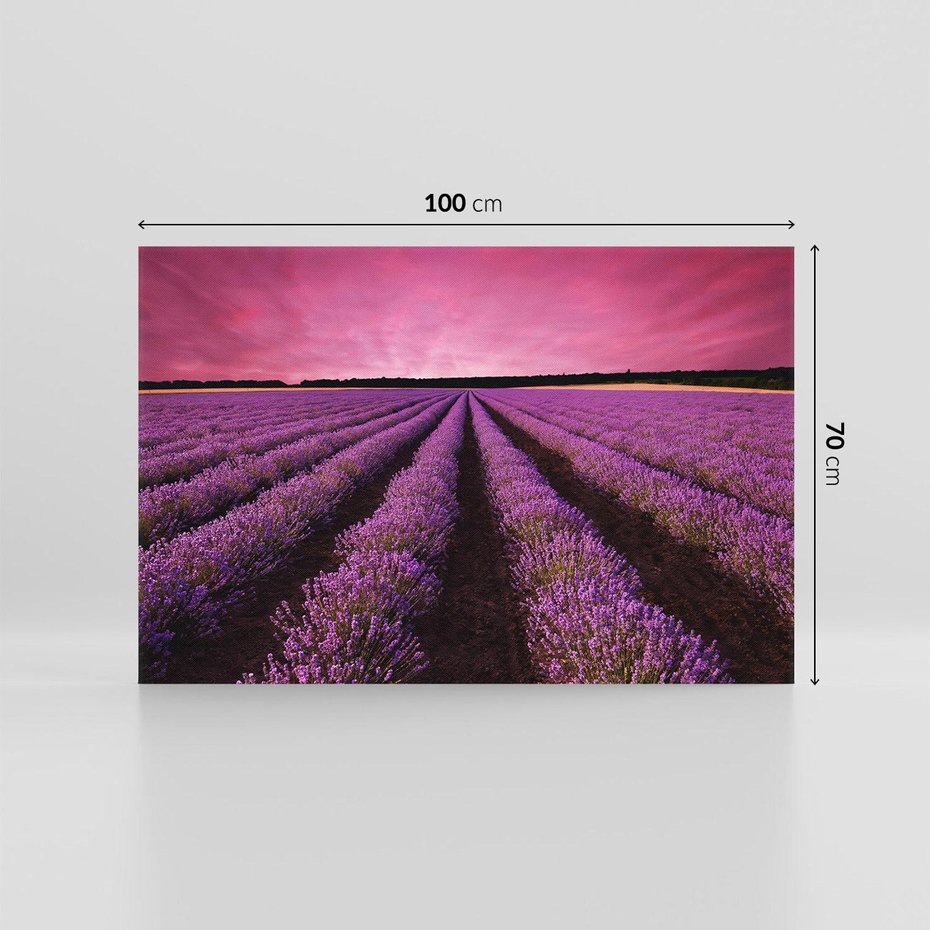 Obraz na płótnie 100x70 - Pola lawendy w pełnym rozkwicie - Lawenda, krajobraz