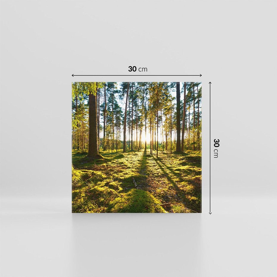 Obraz na płótnie 30x30 - Obfitość natury - las, drzewa
