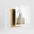 Plakat w ramie 30x40 - Ujęcie Suchych Traw - suche trawy, zbliżenie - rama biała