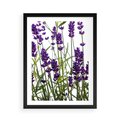 Plakat w ramie 50x70 - Fioletowa harmonia lawendy - lawenda, fiolet - rama czarna