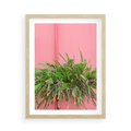 Plakat w ramie 50x70 - Fotografia Rośliny z Różowym Tłem - fotografia, zielona roślina na tle różwj ściany - rama drewno