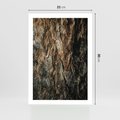 Plakat bez ramy 21x30 - Tekstura Drewna: Zbliżenie - zbliżenie na pień drzewa, tekstura