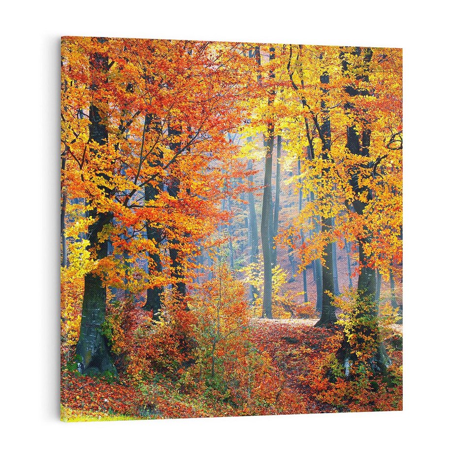 Obraz na płótnie 70x70 - Jesienny taniec lasu - jesień, las